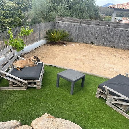 Villa Orethaga Piscine 10 Pers Porto Vecchio المظهر الخارجي الصورة