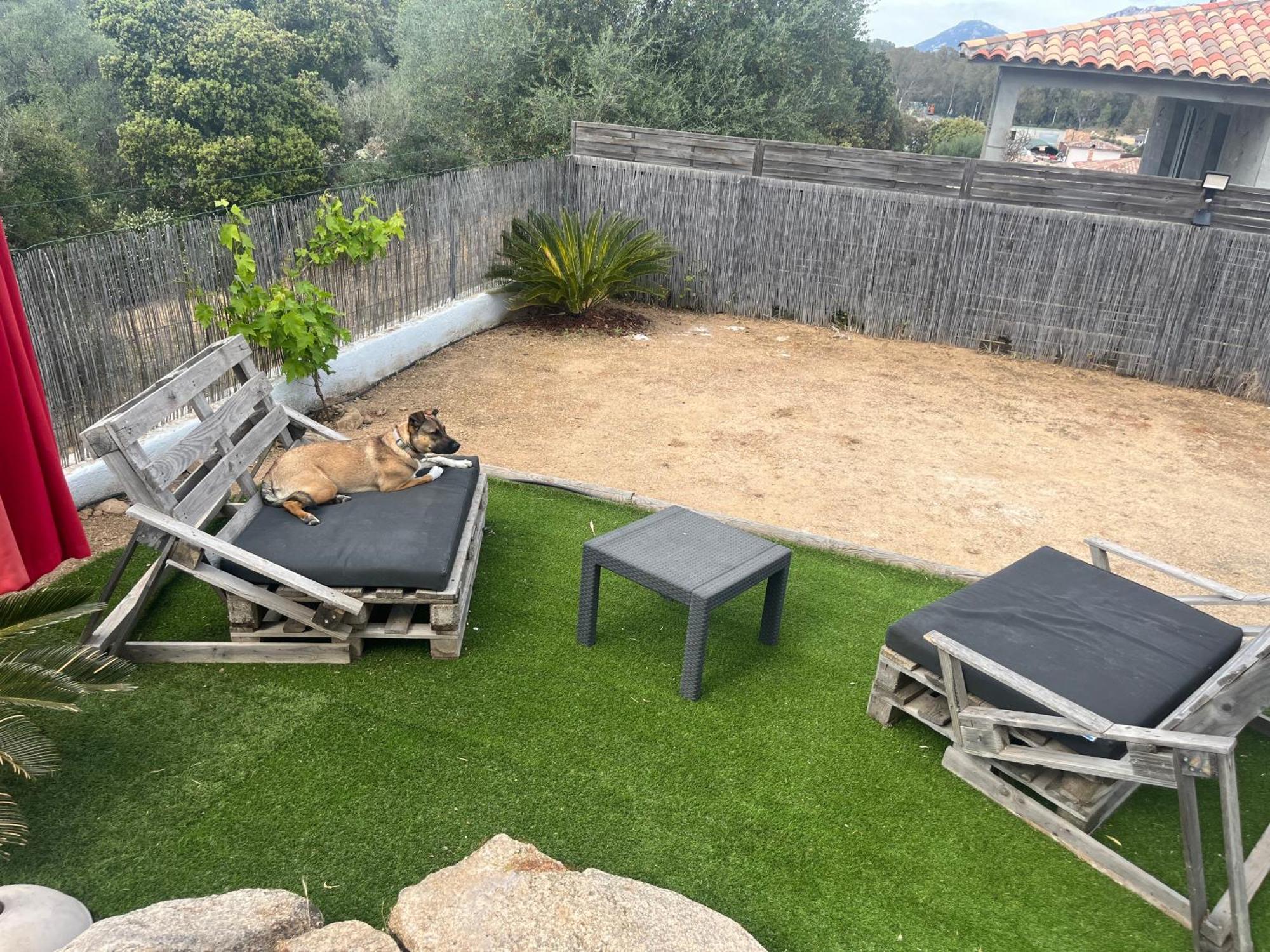 Villa Orethaga Piscine 10 Pers Porto Vecchio المظهر الخارجي الصورة