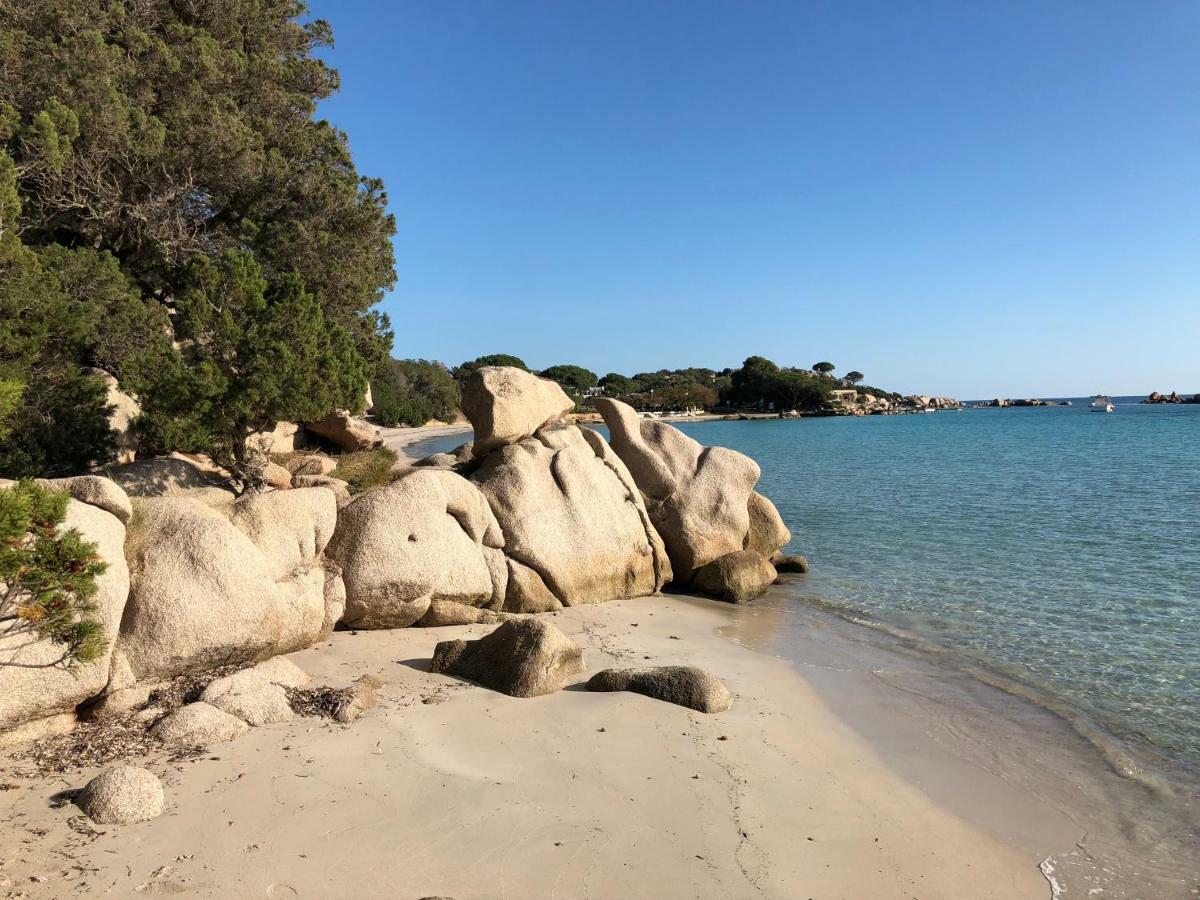 Villa Orethaga Piscine 10 Pers Porto Vecchio المظهر الخارجي الصورة