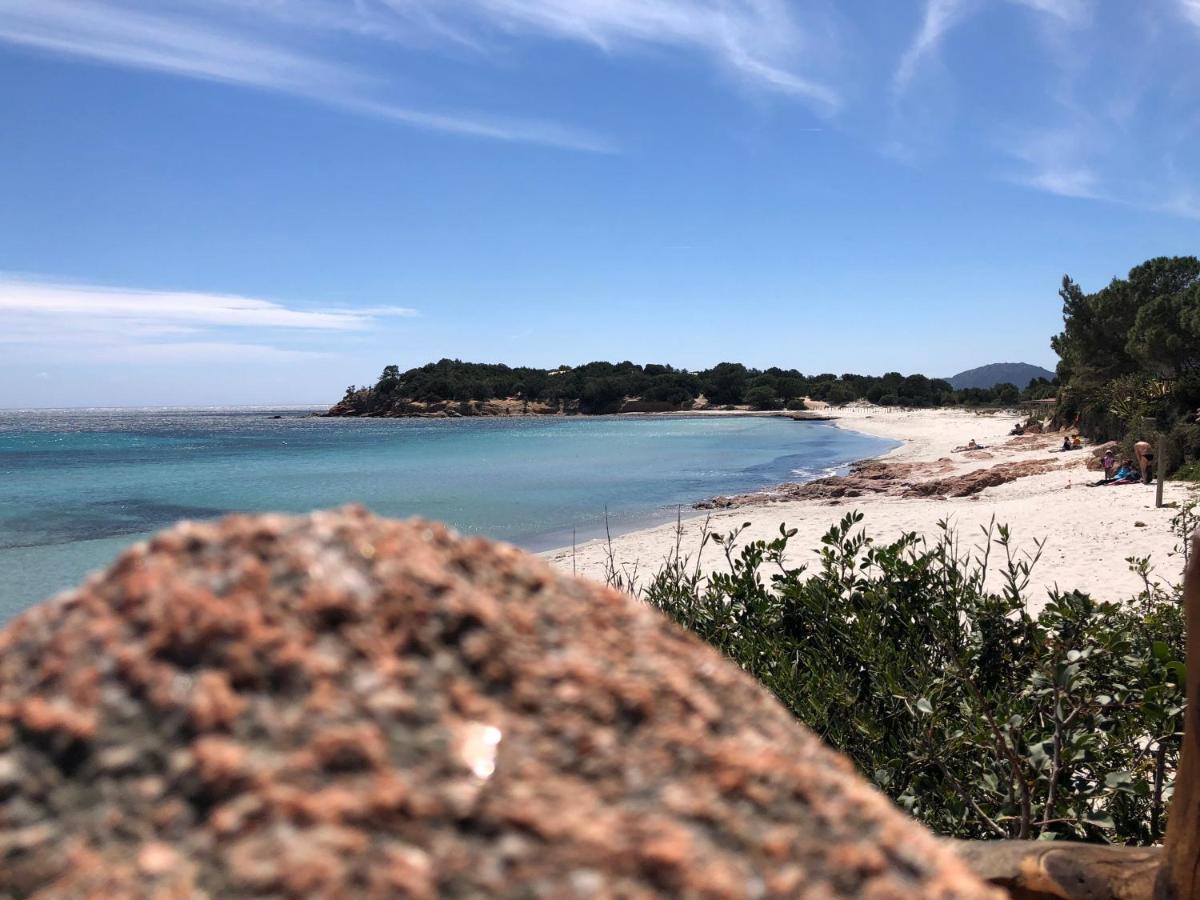 Villa Orethaga Piscine 10 Pers Porto Vecchio المظهر الخارجي الصورة
