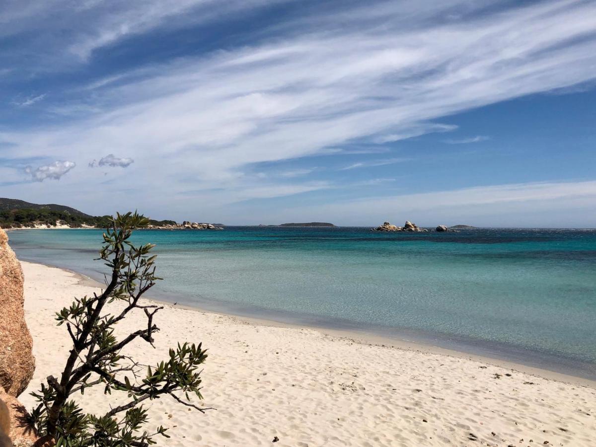 Villa Orethaga Piscine 10 Pers Porto Vecchio المظهر الخارجي الصورة